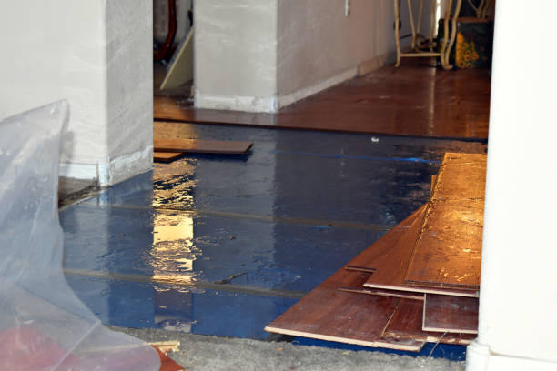 Professional Basement Flood Cleanup technician working in Strathmore, CA